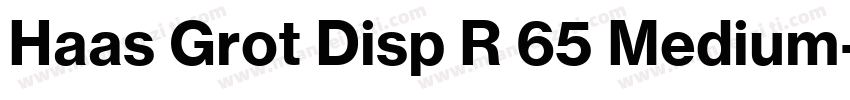 Haas Grot Disp R 65 Medium字体转换